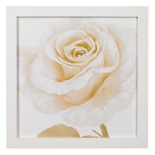 White Roses Closeups A Framed 24" Square Wall Art   #K4908