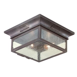 Newton Collection 12 3/4" Wide Outdoor Ceiling Light   #66541
