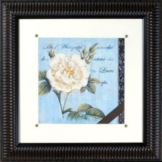 Vintage Rose II Print Under Glass 21" Square Wall Art   #H1924