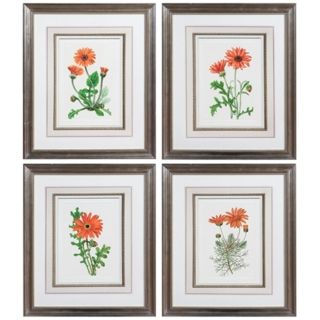 Set of 4 Uttermost Orange Flowers I IV Framed Wall Art   #V3978