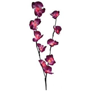Silk Orchid Flowers 36" High LED Light Accent   #U7875