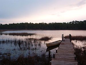 Photograph of the river at dusk in the middle basin, on the right bank