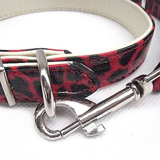 USD $ 7.49   Spotted Leopard Style Dog Collar with 120cm Leash (S L