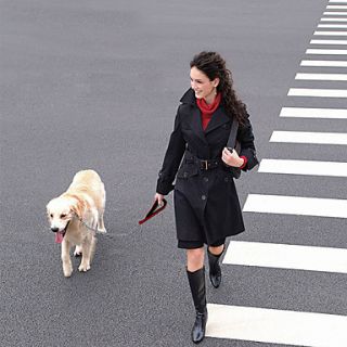 Style Dog Leash (125 x 2.0mm, Silver), Gadgets