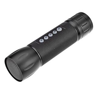 Y202 2 in 1 Rechargeable Mobile Power FM Active Speaker + Flashlight