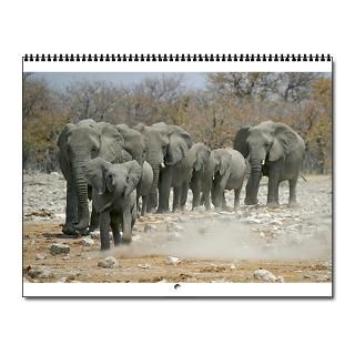 2013 Coptic Calendar  Buy 2013 Coptic Calendars Online