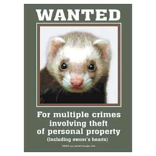 Wall Art  Posters  Ferret Wanted Poster