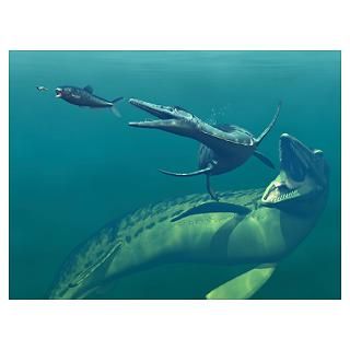 Wall Art  Posters  Marine predators of the