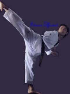 Martial Art Karate Kicking Shield Striking Pad