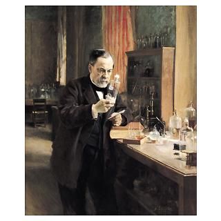 Wall Art  Posters  Louis Pasteur (1822 95) in his