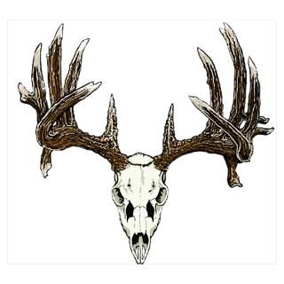 Wall Art  Posters  White tail deer skull drawing
