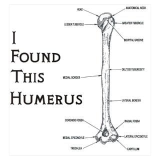 Wall Art  Posters  I Find This Humerus Wall Art