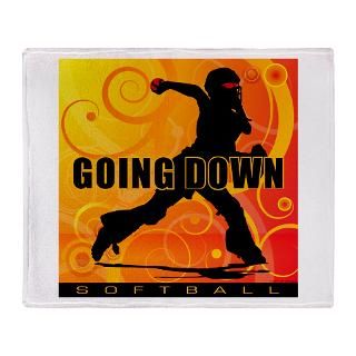 2011 Softball 25 Stadium Blanket for $59.50