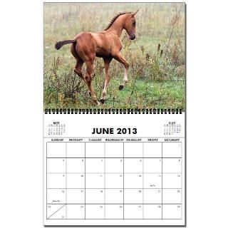 2009 Akhal Teke 2013 Wall Calendar by paintingpony