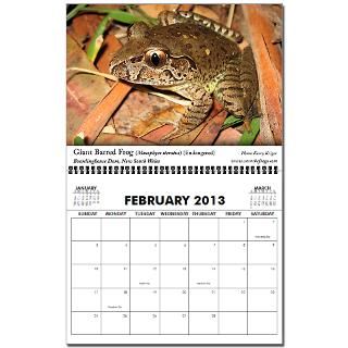 Frogs of Australia 2009 2013 Wall Calendar by savethefrogs