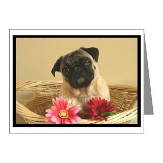  Funny Pug Note Cards  Pug and Flowers Note Cards (Pk of 10
