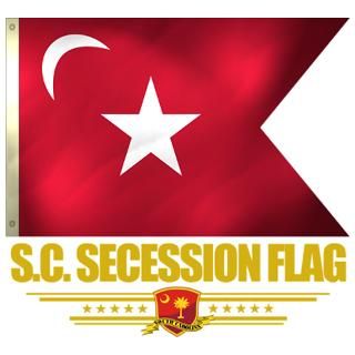 Gifts  Civil War Patches  SC Secession Flag (flag 10).png Iron On