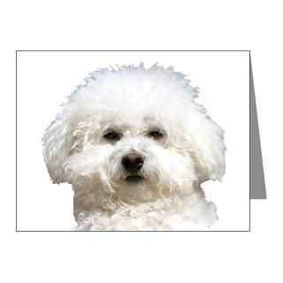 Bichon Dad Note Cards  Fifi the Bichon Frise Note Cards (Pk of 20