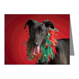 Black. Harlequin Note Cards  Greyhound Christmas Cards (Pk of 20