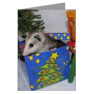 Christmas Greeting Cards  Opossum Present Christmas Cards (Pk of 20