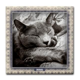 Russian Blue Cat 23 Tile Coaster