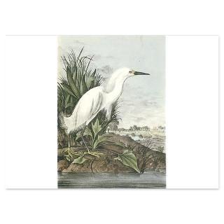 snowy egret 4 5 x 6 25 flat cards $ 1 45