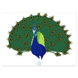 peacock 4 5 x 6 25 flat cards $ 1 45