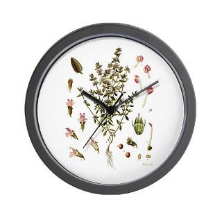 Botanical Clock  Buy Botanical Clocks