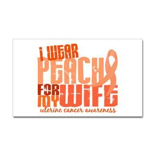 Uterine Cancer Peach Ribbon Stickers  Car Bumper Stickers, Decals