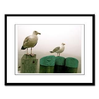 chatham harbor seagulls large framed print $ 69 95