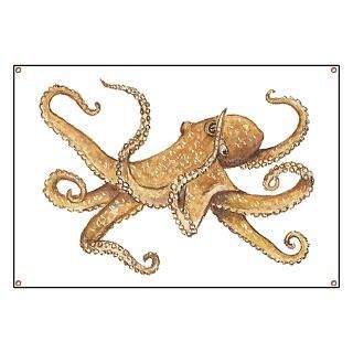 Octopus  Pet Drawings