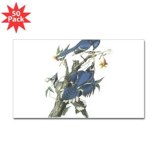 blue jay sticker rectangle 50 pk $ 83 99