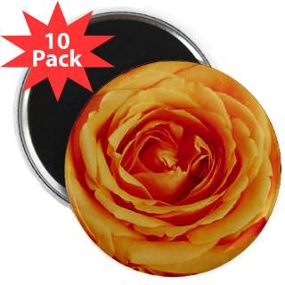 rose magnet $ 3 24 zonta yello rose 2 25 magnet 100 pack $ 114 99