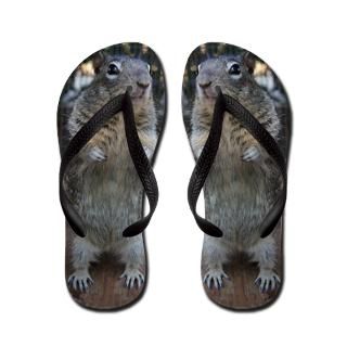 Squirrel Gifts  Squirrel Bathroom  Harmonica Joe Flip Flops