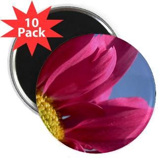 Pink Gerbera Daisy 2.25 Magnet (10 pack)