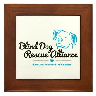 Blind Dog Rescue Alliance