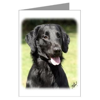 Flat Coated Retriever 9Y040D 120 Greeting Cards (P