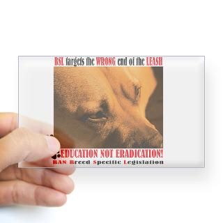 Anti Bullying Stickers  Car Bumper Stickers, Decals