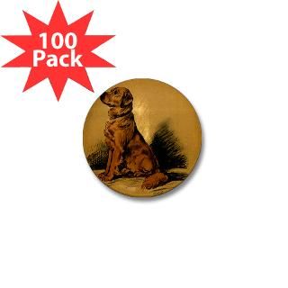 Golden Retriever Mini Button (100 pack)