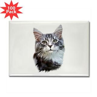 silver tabby maine coon cat rectangle magnet 100 $ 154 99
