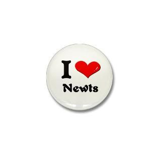 Newt Gringrich Button  Newt Gringrich Buttons, Pins, & Badges  Funny