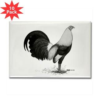 OE Game Grey Rooster  Diane Jacky On Line Catalog