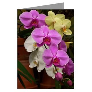 Orchid Gifts & Merchandise  Orchid Gift Ideas  Unique