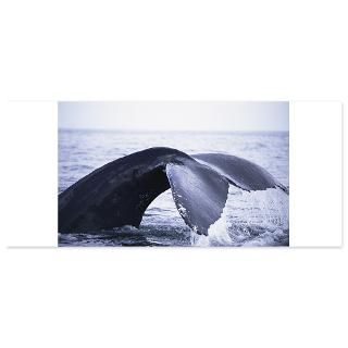Whale Invitations  Whale Invitation Templates  Personalize Online