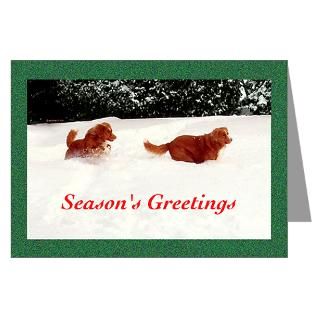 Duck Hunting Greeting Cards  Buy Duck Hunting Cards