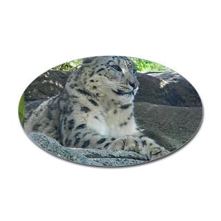 Snow Leopard Stickers  Car Bumper Stickers, Decals