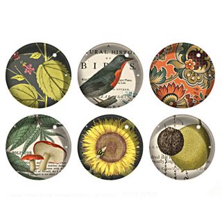 Fringe Walnut Bird Magnet Set