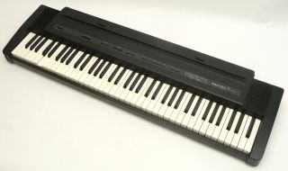 DIGITAL ELECTRIC ELECTRONIC PIANO KEYBOARD MUSIC MUSICAL INSTRUMENT