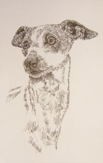 Dog Art Lithograph 80 Stephen Kline Draws Your Dogs Name Free