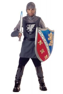 New Renaissance Medieval Valiant Knight Child Halloween Costume